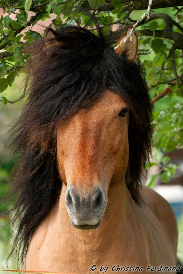 66751_143274195881260_1551979024_n