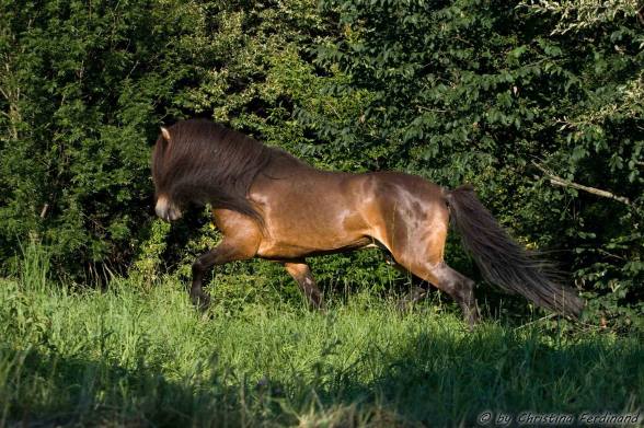 1071503_143268742548472_1392090346_o